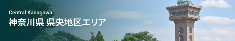 静岡県 西部エリア