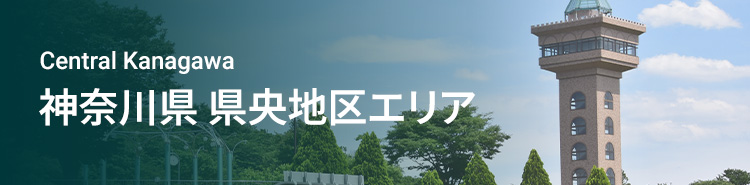 静岡県 西部エリア